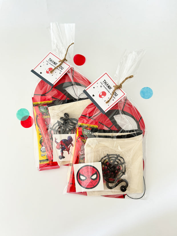 Spider Hero Party Favor Bag