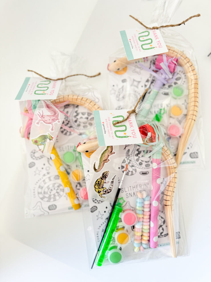 Snake Party Favor Bag