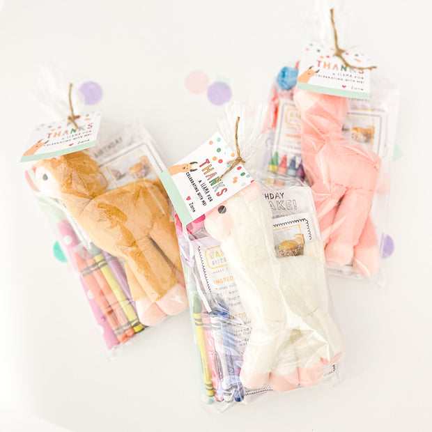 Llama Party Favor Bag