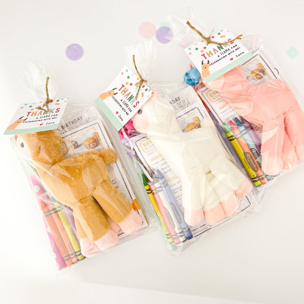 Llama Party Favor Bag