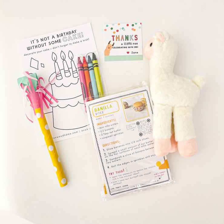 Llama Party Favor Bag