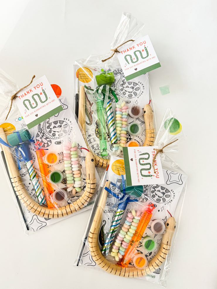 Snake Party Favor Bag