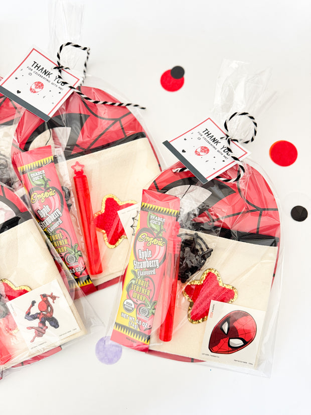 Spider Hero Party Favor Bag
