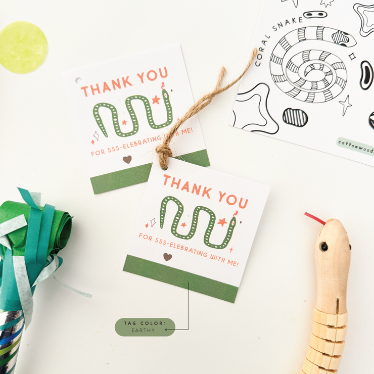 Snake Party Favor Bag