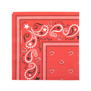 Party Napkin - Paisley Print