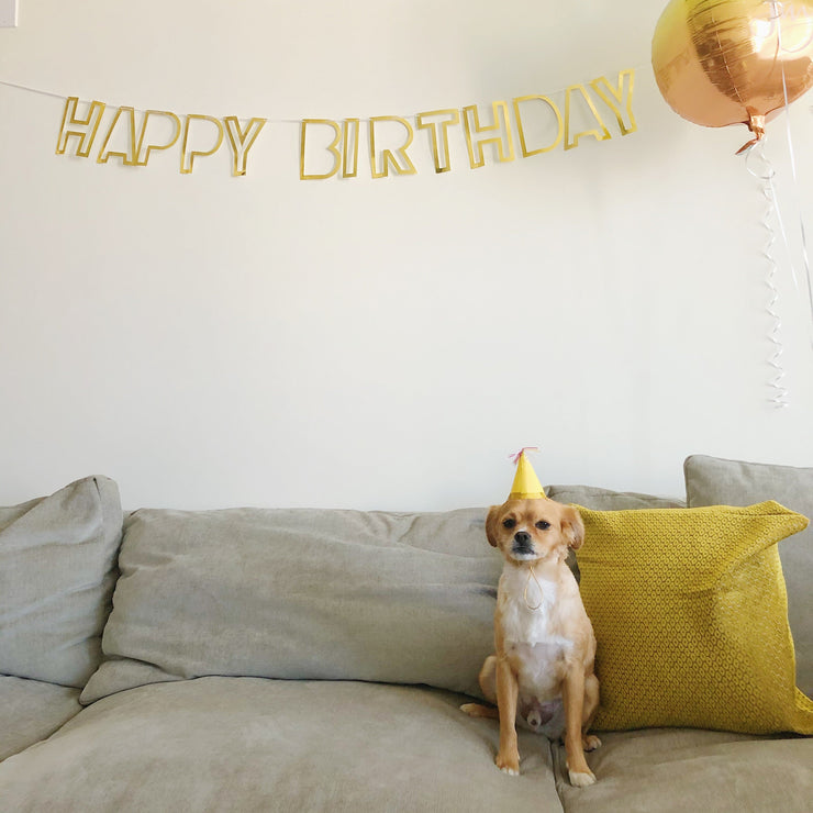 Happy Birthday Party Garland -  Rose Gold