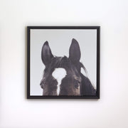 All Ears Framed Canvas Print 