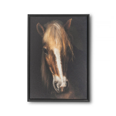 Wall Art - Farmhouse Horse Framed Canvas