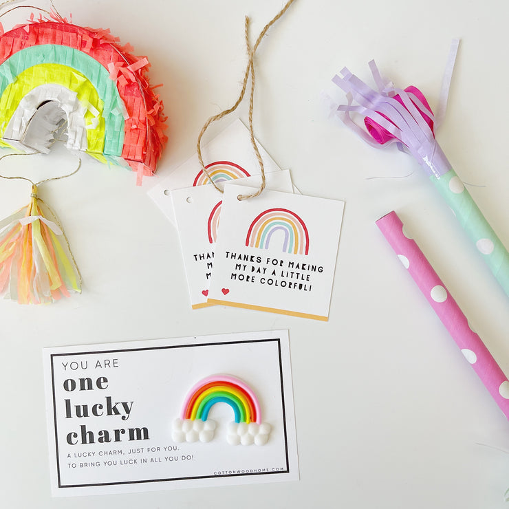 Rainbow Favor Bag