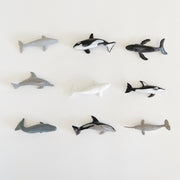 Whales + Dolphins Keychain Party Favor