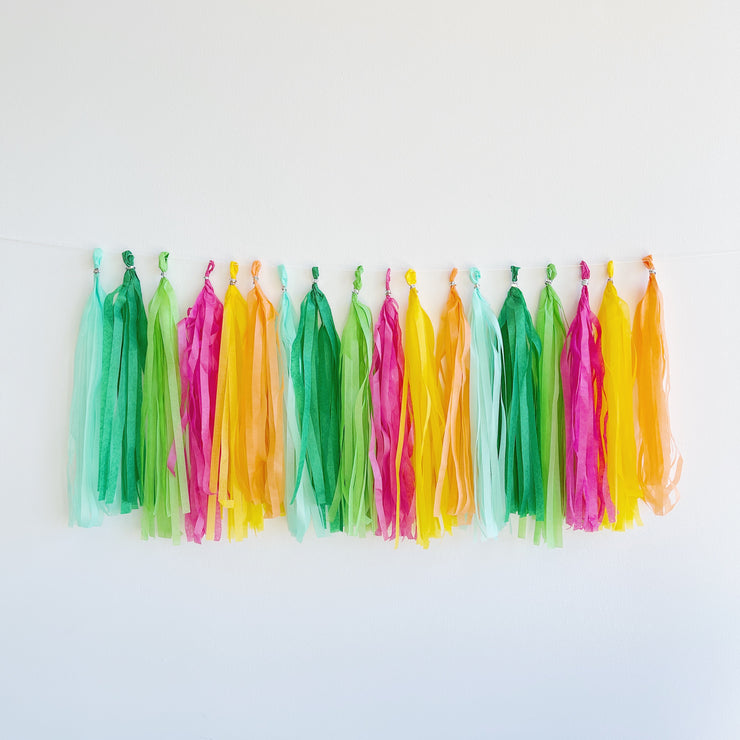 Paper Tassel Garland - Fiesta