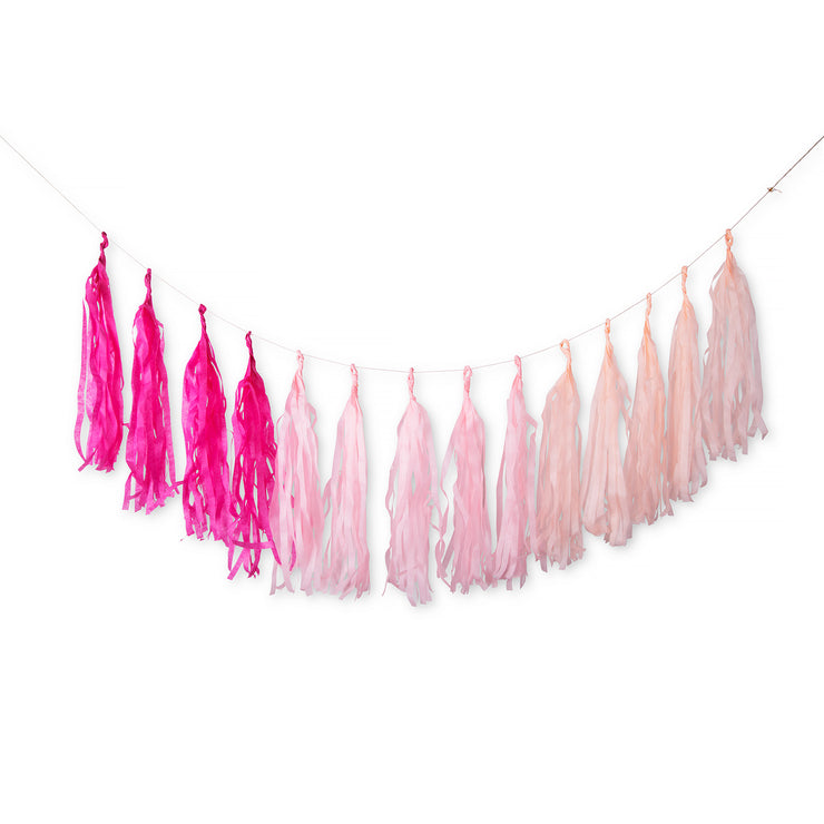 Paper Tassel Garland - Pink Ombre