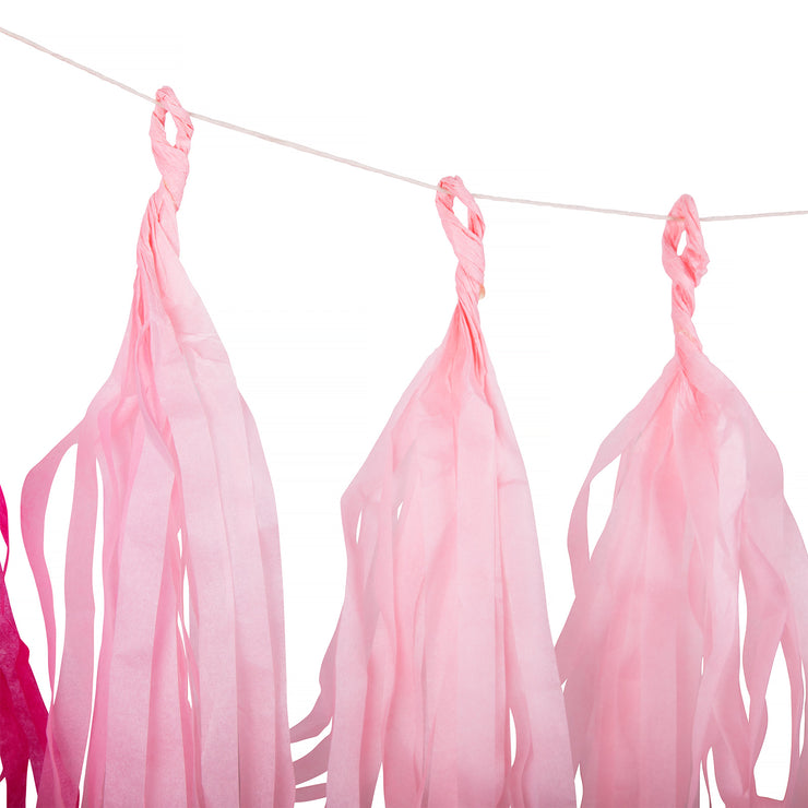 Paper Tassel Garland - Pink Ombre